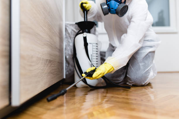 Best Best Pest Control Companies  in South Carthage, TN