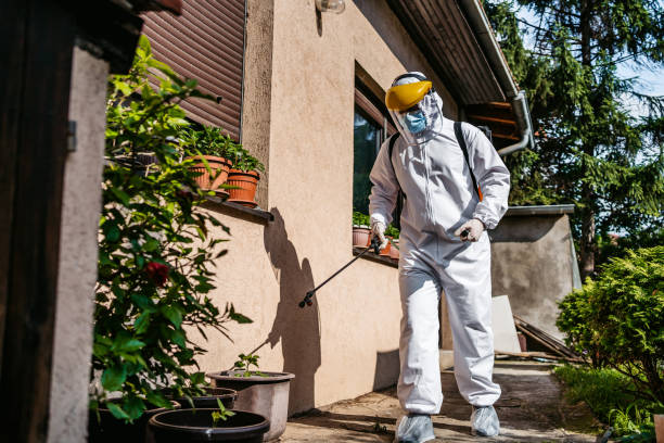 Best Affordable Pest Control Services  in South Carthage, TN