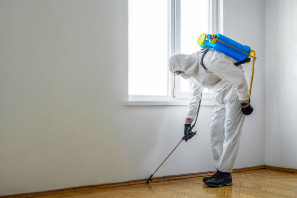Best Best Pest Control Companies  in South Carthage, TN