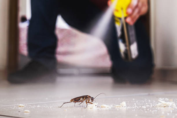 Reliable South Carthage, TN Pest Control Solutions