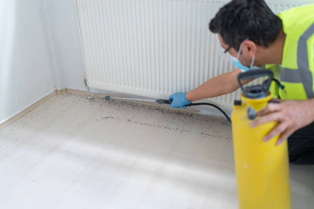 Best Pest Control Near Me  in South Carthage, TN